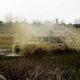 Image for article titled AEV J8 MILSPEC: Offroading Jeep's Forbidden Fruit